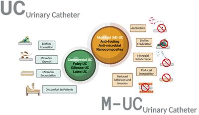 Emerging evidence-based innovative approaches to control catheter-associated urinary tract infection: a review